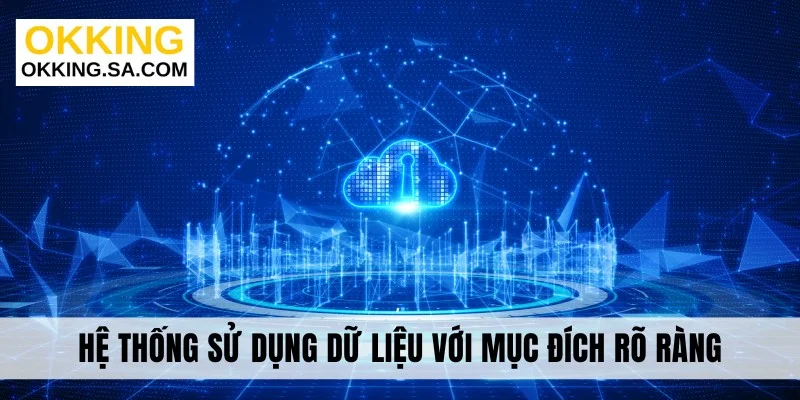 Hệ thống sử dụng dữ liệu với mục đích rõ ràng