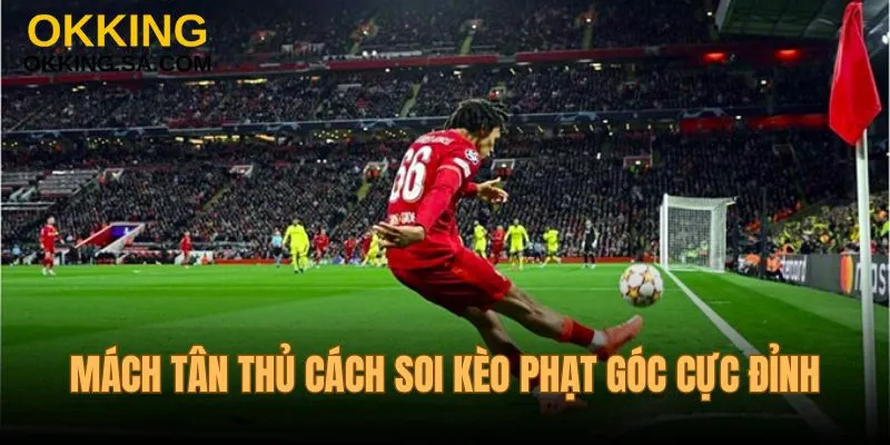 Mách tân binh kỹ thuật soi kèo thẻ phạt cực đỉnh